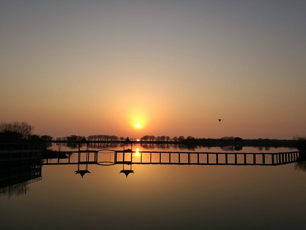 日本精品人妻无码免费大全