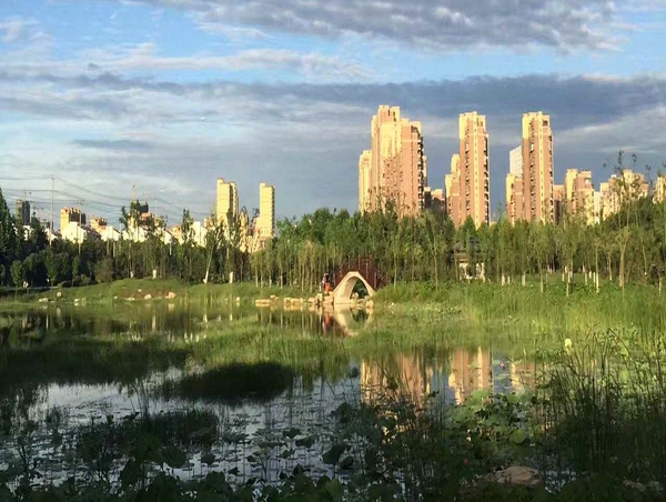 日本精品人妻无码免费大全